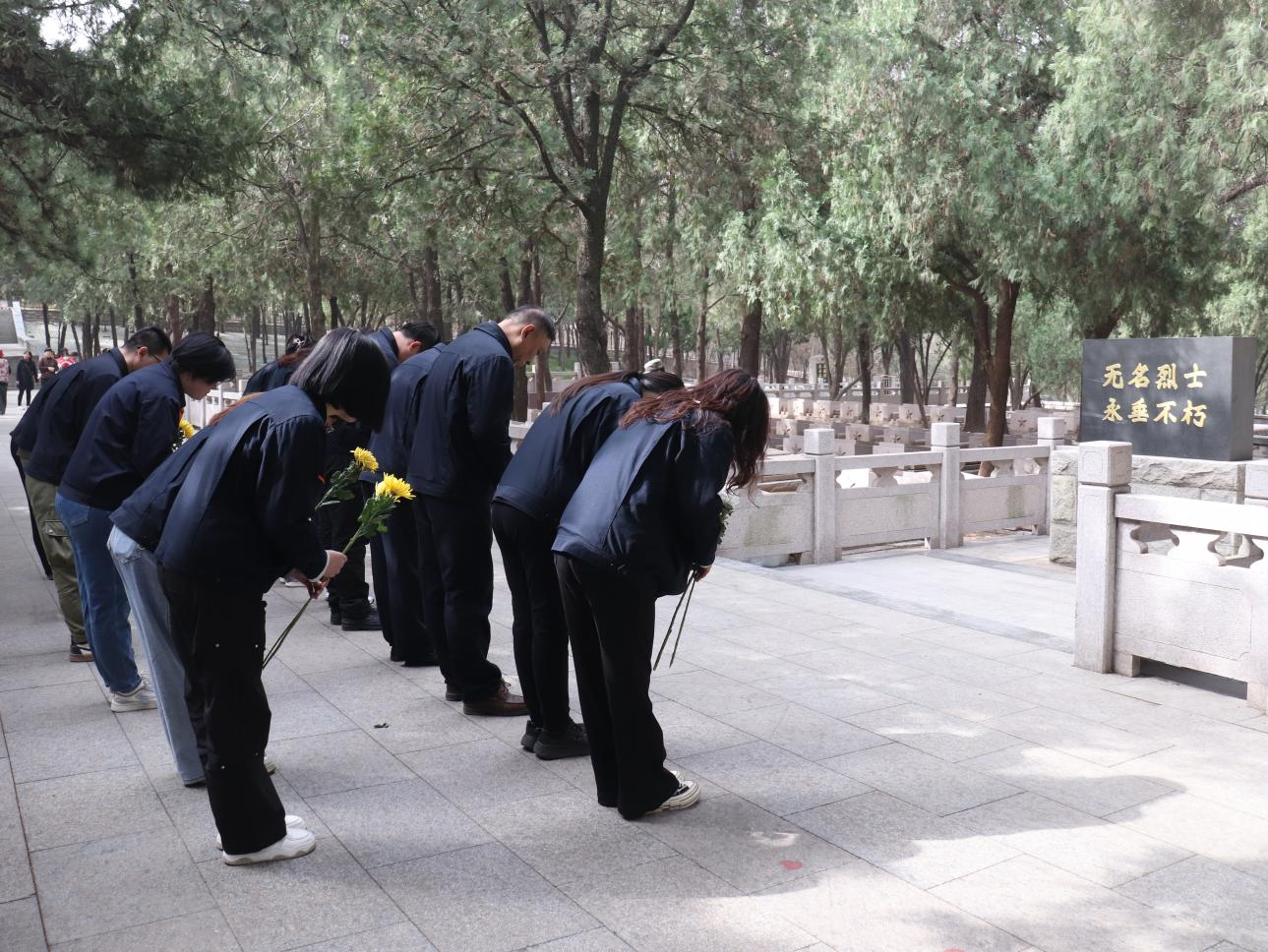 �ͼ�app��(�й���½)�ٷ���վ